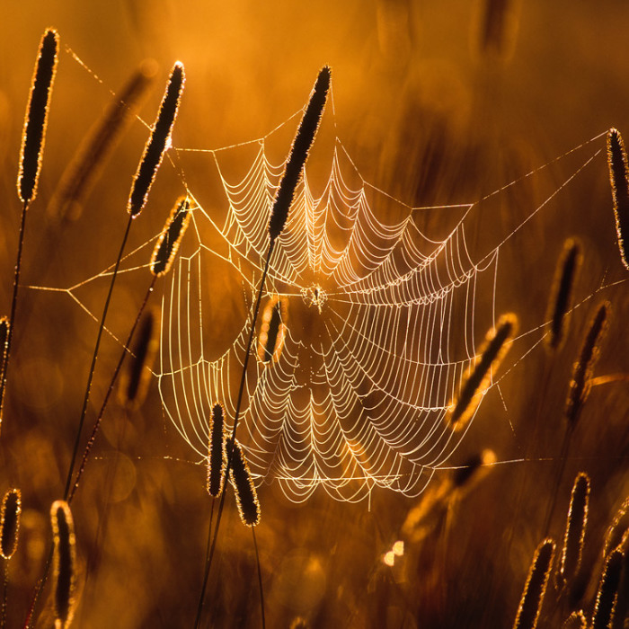 Details Of Short But Beautiful Summer In My Homeland Finland