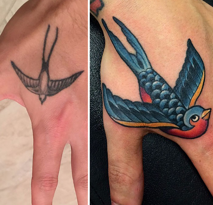 Creative cover-up tattoo of a bird transforming an old design into colorful new art on the hand.