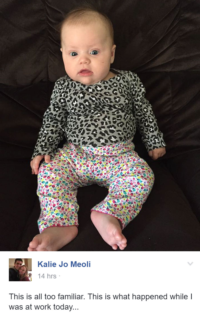 This Is What Happened While I Was At Work Today...