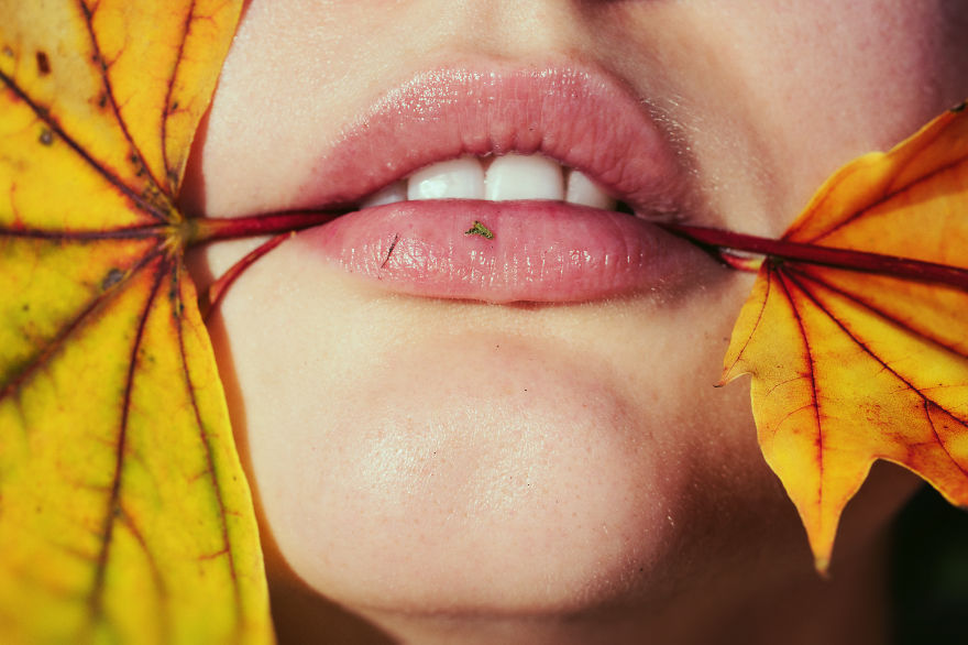 Tulips: My Newest Photography Series Celebrating Human Mouth Tulips: My Newest Photography Series Celebrating Human Mouth