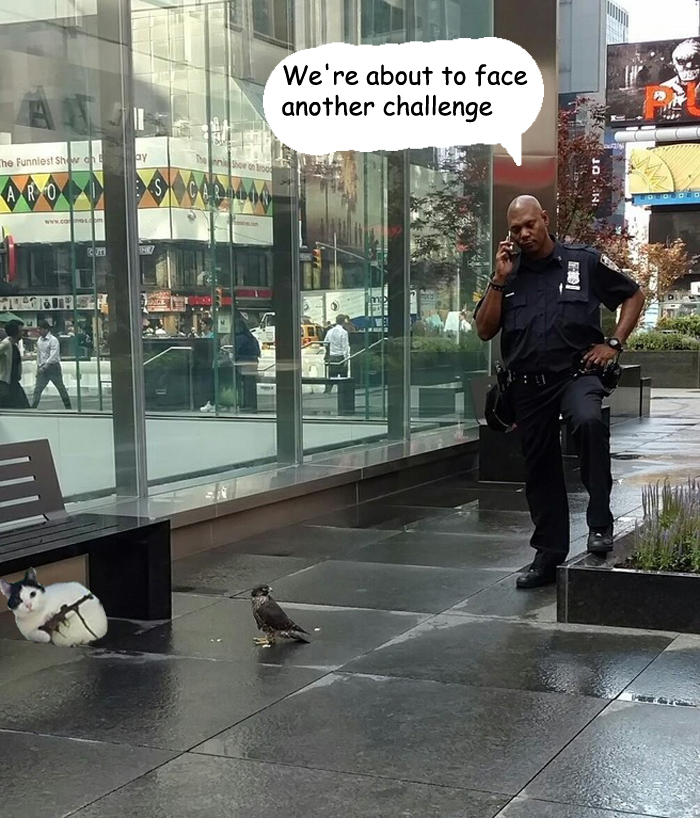 Challenge Meets Challenge