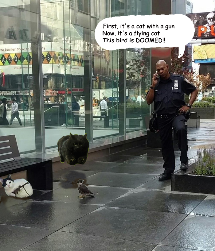 The Writing Is On The Wall