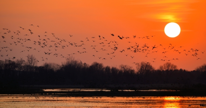 A Day In A Journey Of Many