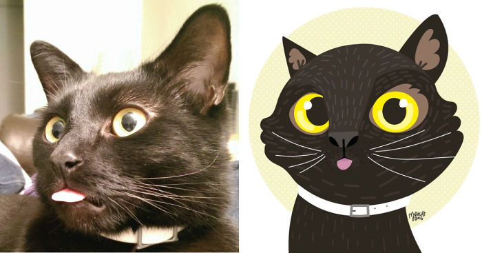 I Draw Cats And Dogs From Photos