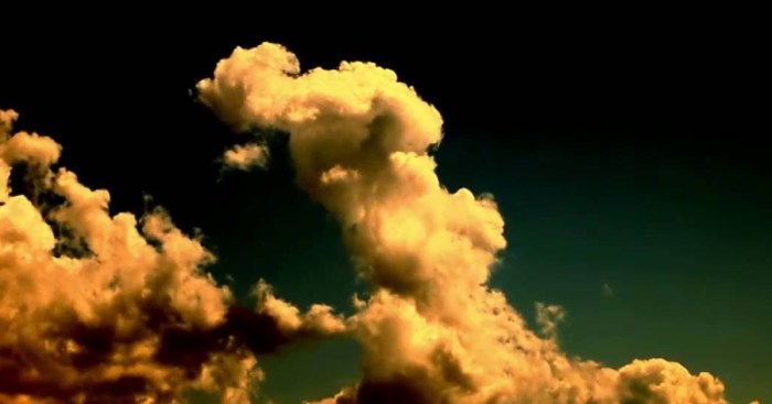 Amazing Images That Keep Me Present