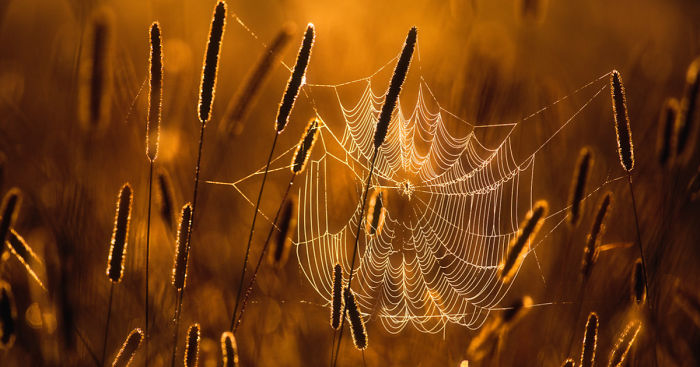 Details Of Short But Beautiful Summer In My Homeland Finland