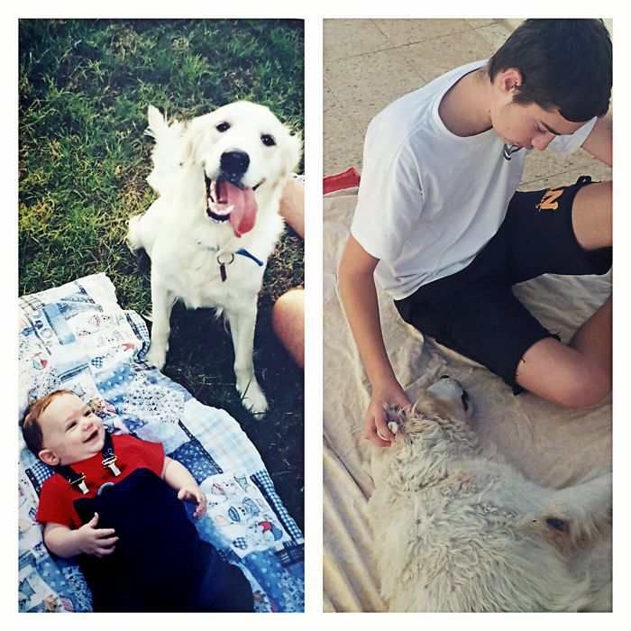 My Son First Picture With Our Beloved Meshi And Picture On Her Last Day Moments Before She Died