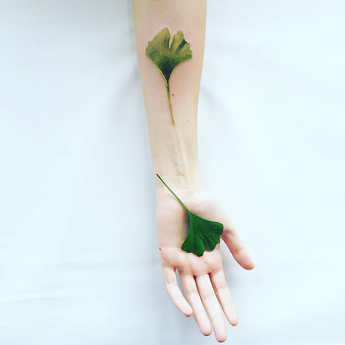 Ethereal nature tattoo of a ginkgo leaf on an arm, inspired by changing seasons.