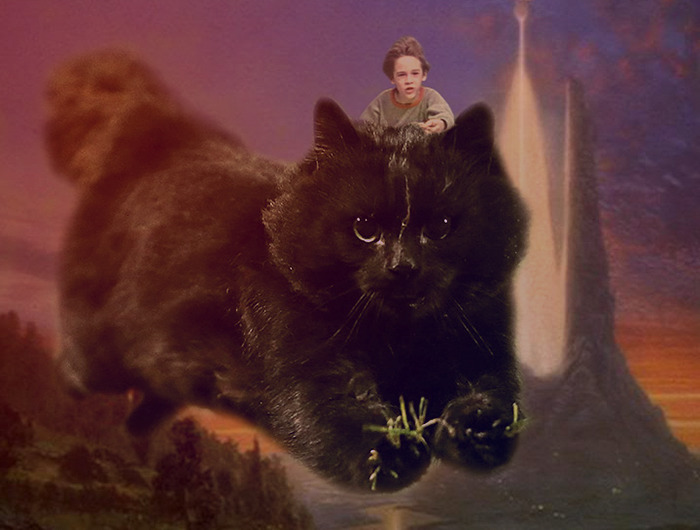 The Neverending Purr