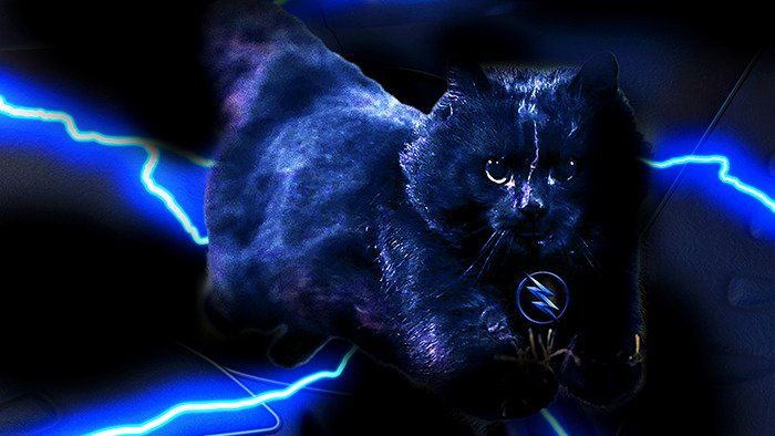 Darkness Cat