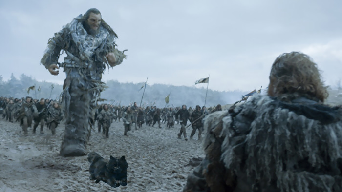 Battle Of The Catstards!