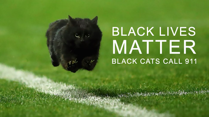 Black Cats Matter