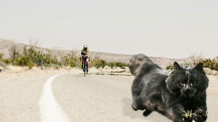 Again @ Raam (christoph Strasser @ Race Across America)