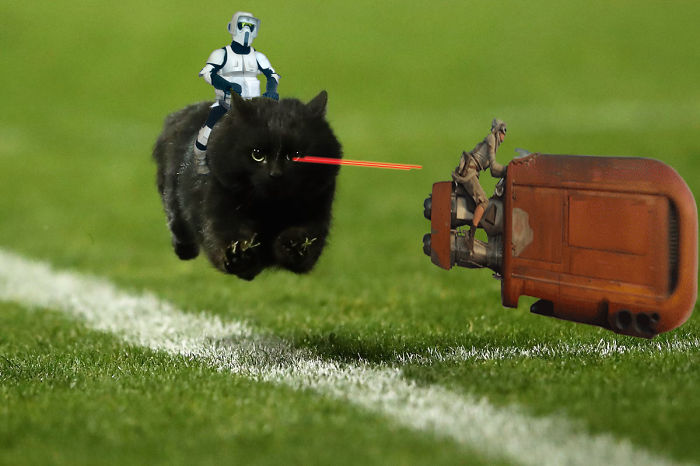 Speeder Fight Interrupts Rugby Game