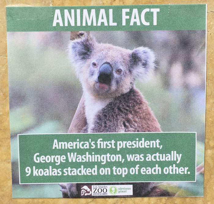 Animal Facts