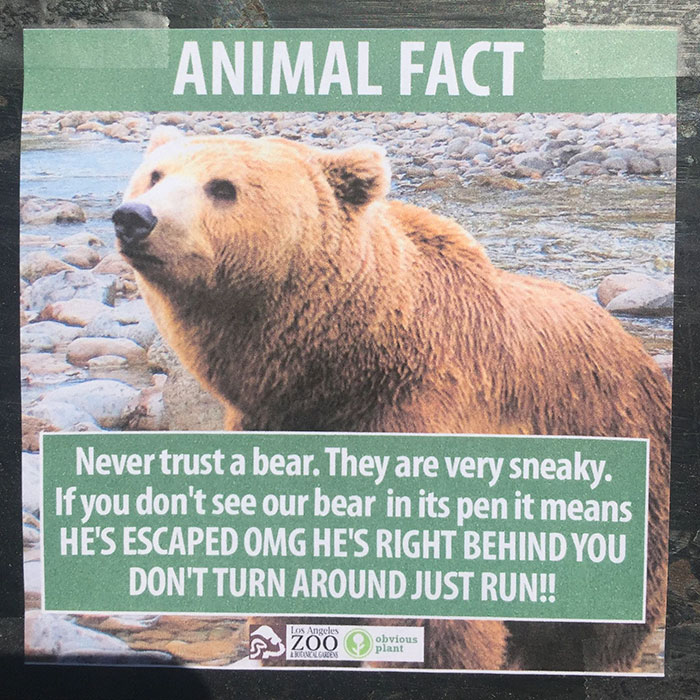 Animal Facts