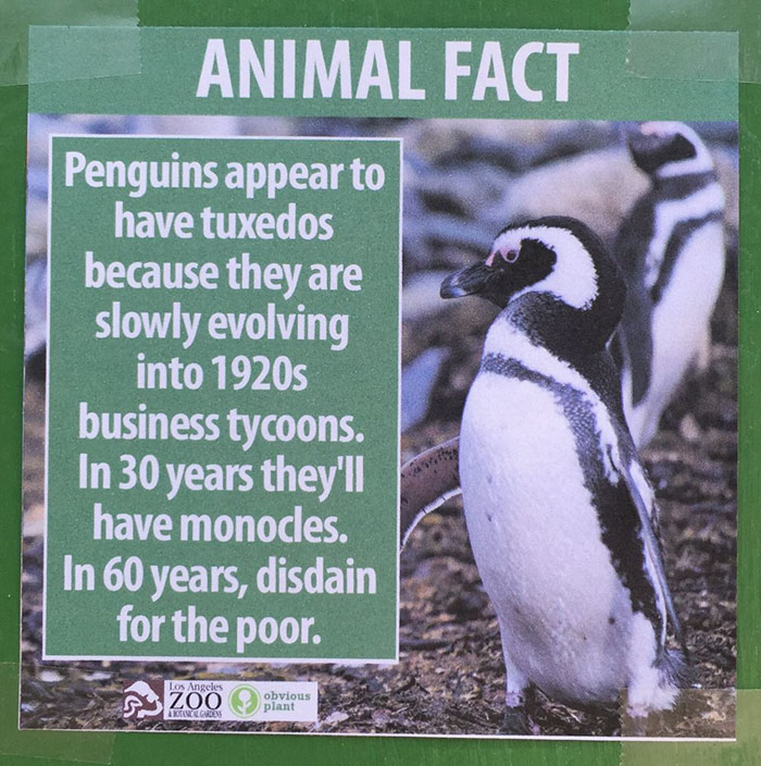 Animal Facts