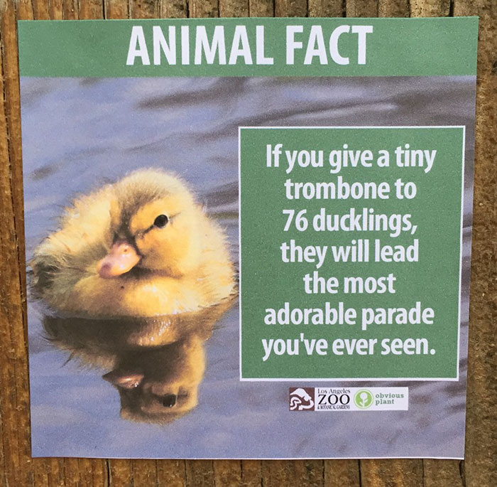 Animal Facts