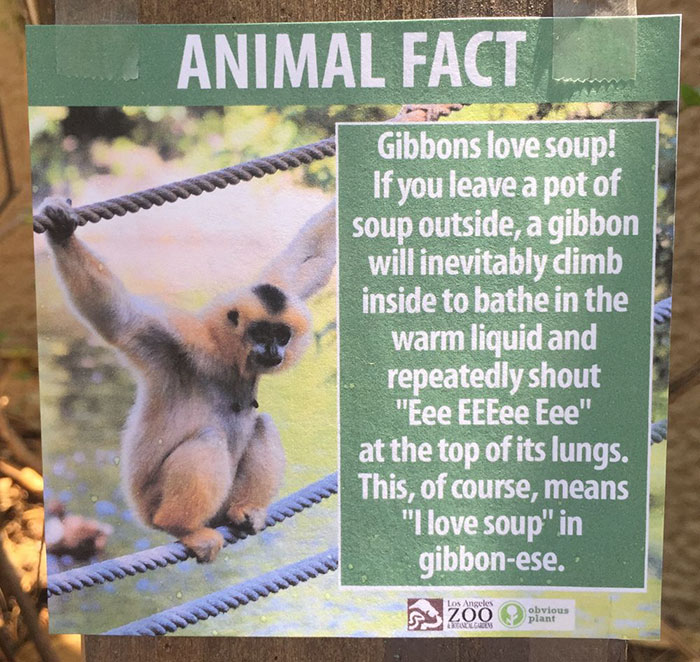 Animal Facts