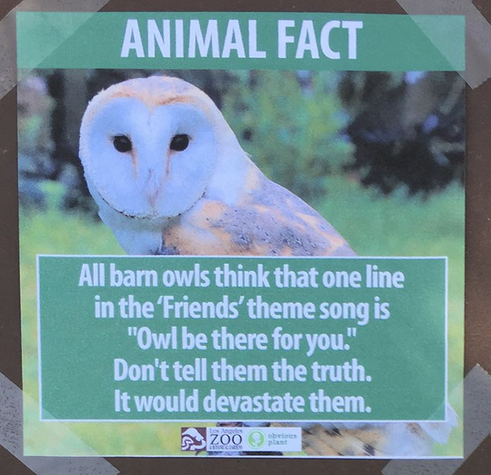 Animal Facts