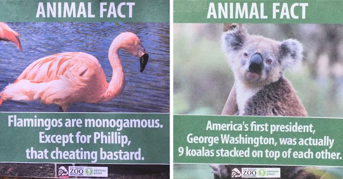 Guy Leaves Fake Animal Facts All Over Los Angeles Zoo