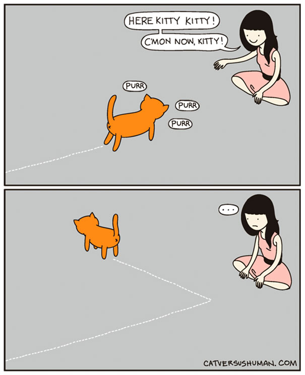 Cat Versus Human