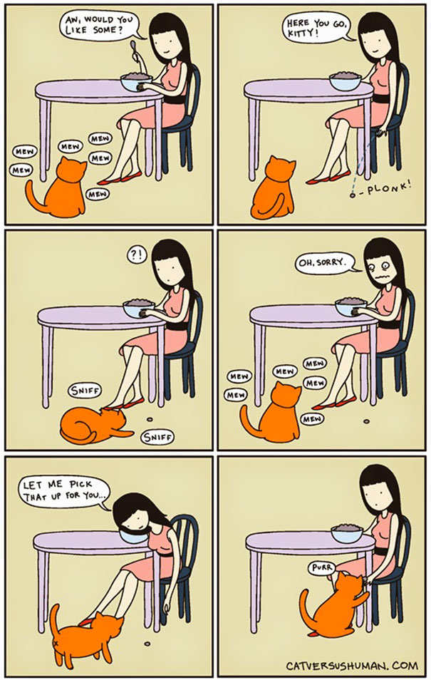 Cat Versus Human