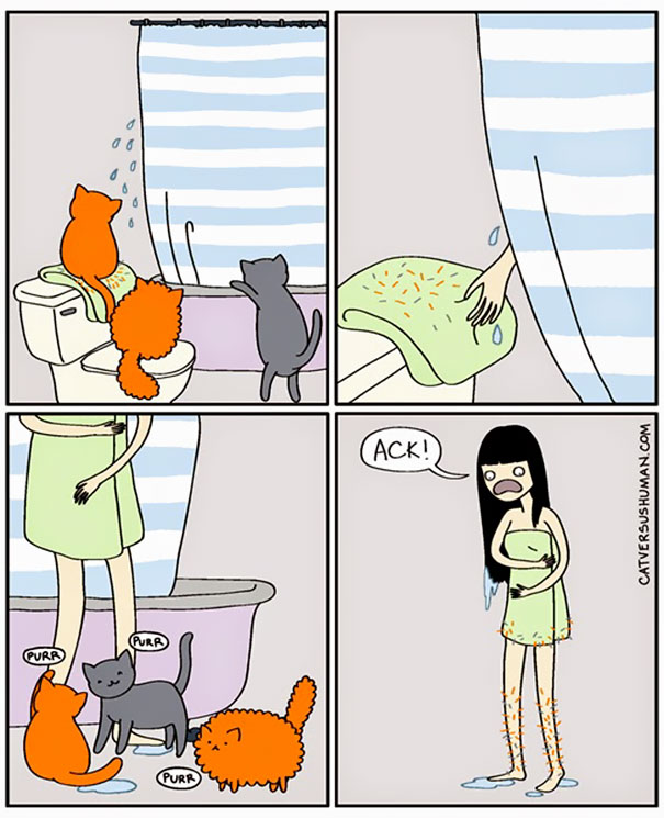 Cat Versus Human