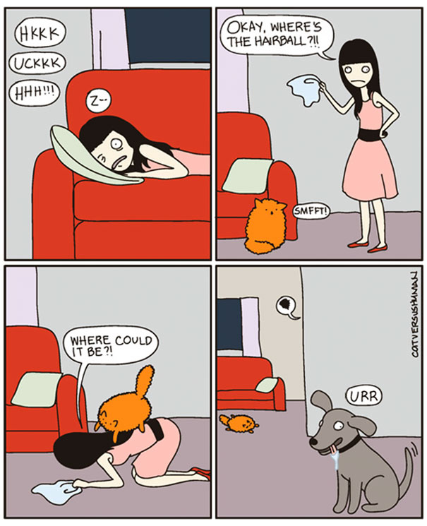 Cat Versus Human