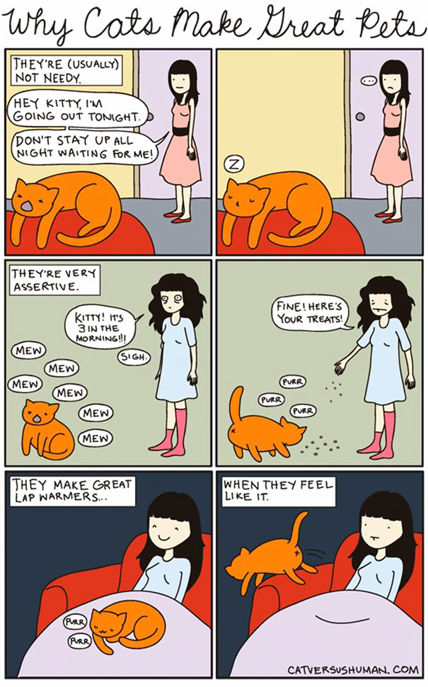 Cat Versus Human