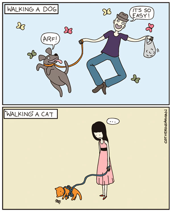 Cat Versus Human