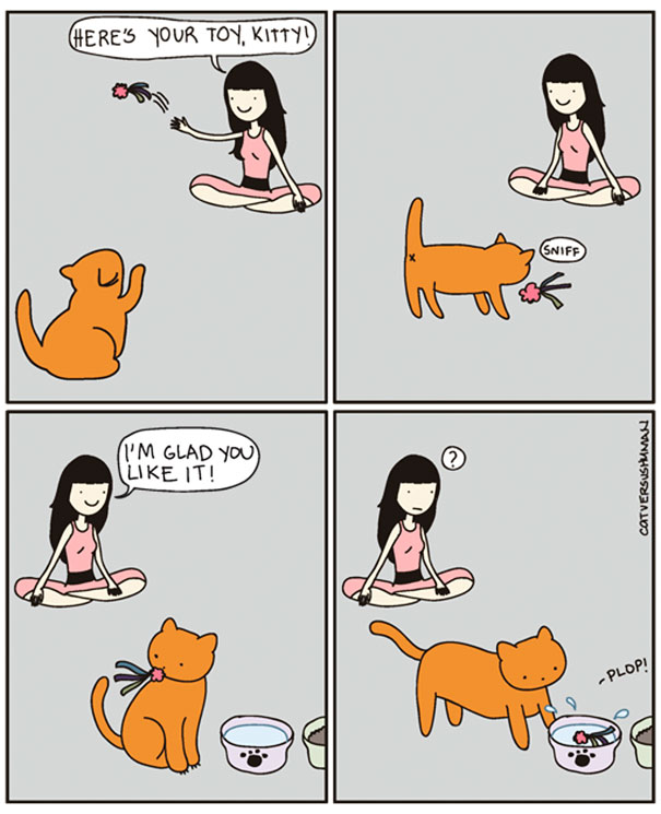 Cat Versus Human