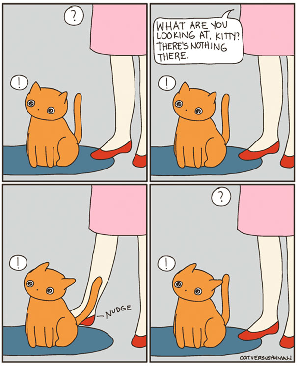 Cat Versus Human