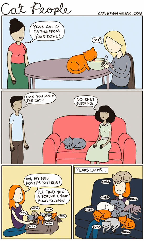 Cat Versus Human