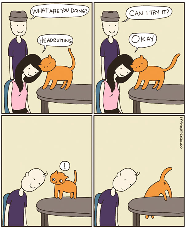 Cat Versus Human