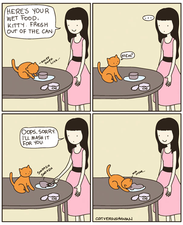 Cat Versus Human