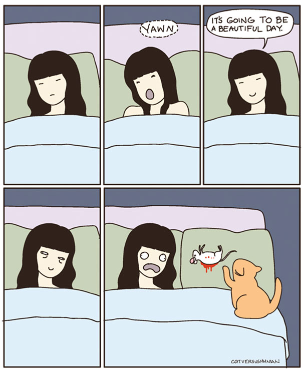 Cat Versus Human