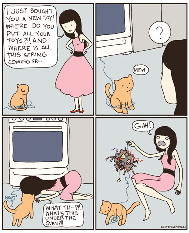 Cat Versus Human