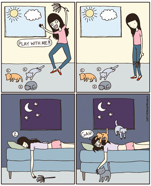 Cat Versus Human