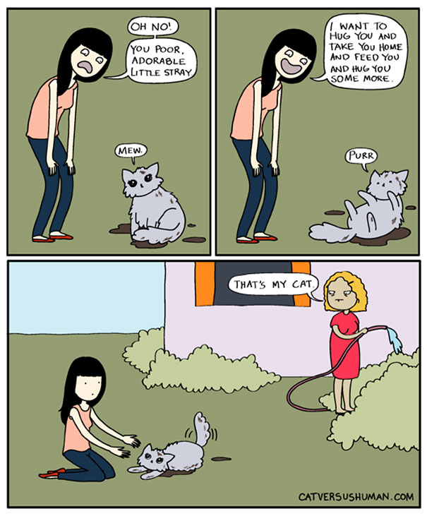 Cat Versus Human