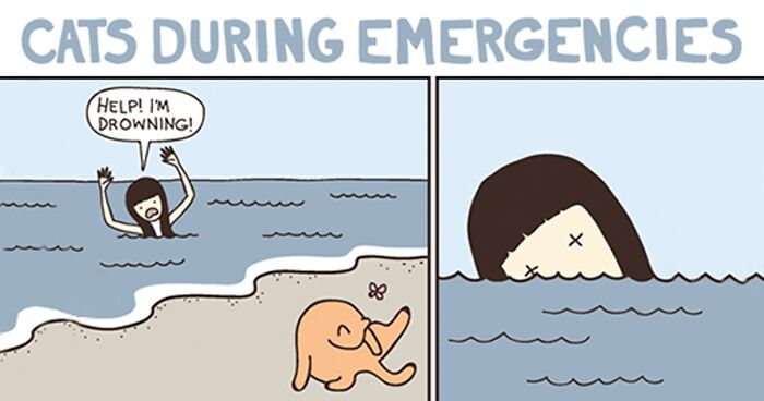 113 Hilarious Comics That Perfectly Capture Life With Cats