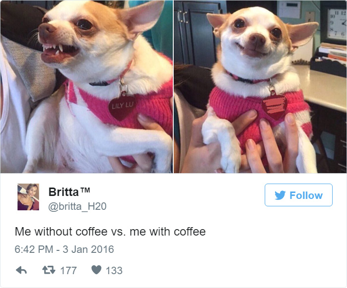 Funny Tweet About Coffee