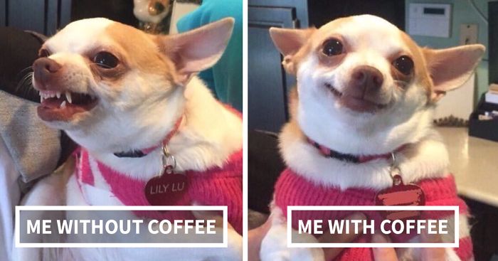 58 Tweets That People Who Can’t Live Without Coffee Will Understand