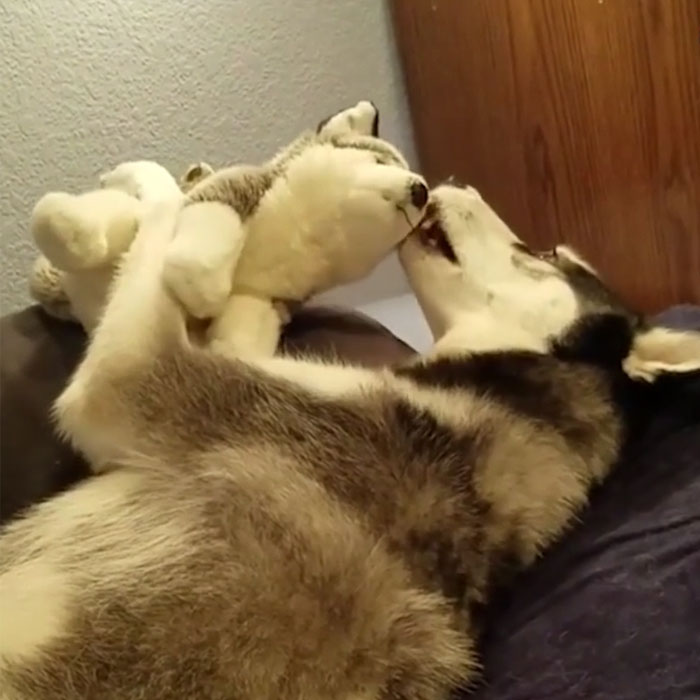 Why Don't You Play With Me?