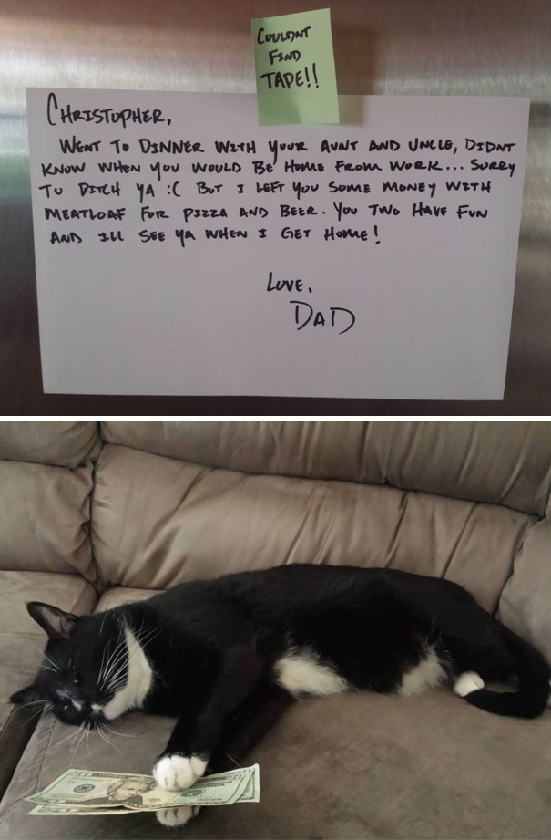 Just Got Home From Work And Found This Note From My Dad On The Fridge. A Little Confused, I Walked Into The Living Room To Find My Cat As Promised. Thanks Dad!