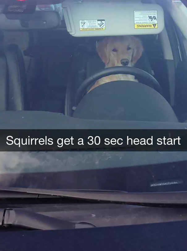Squirrel Get A 30 Sec Head Start