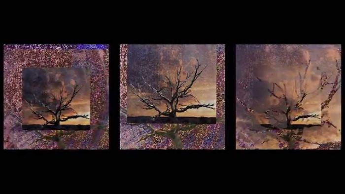 I Made A Healing Art Video About The Life Of A Tree