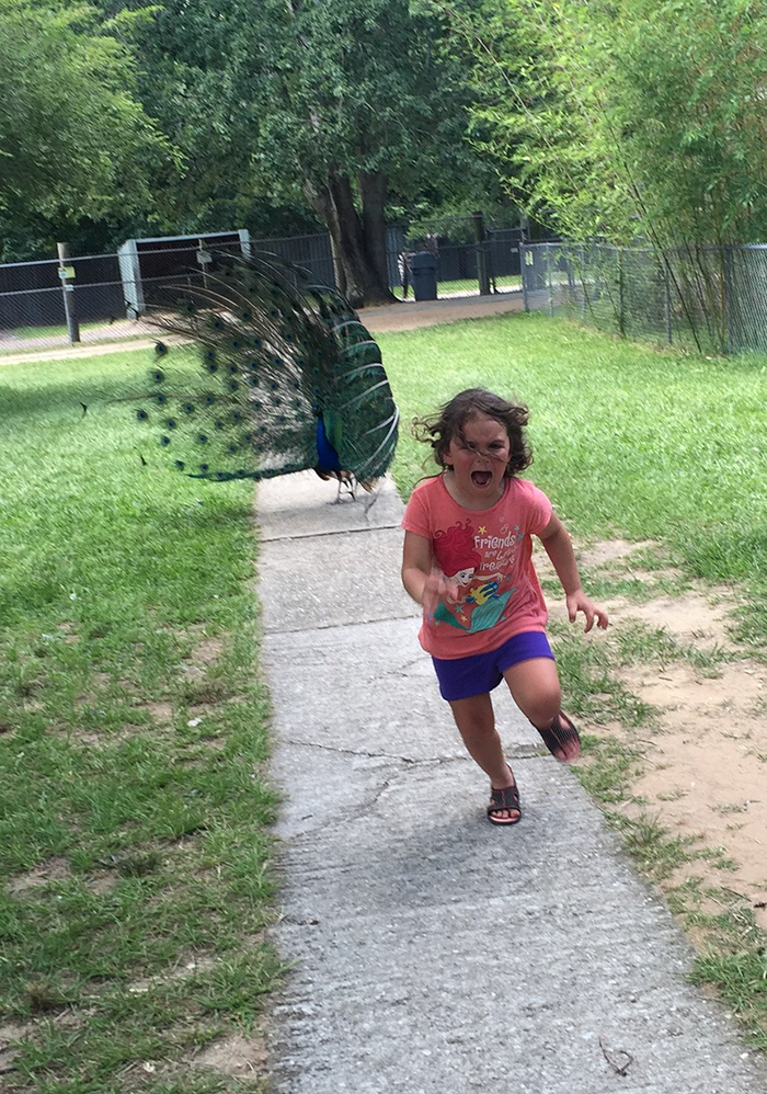 girl-running-from-peacock-photoshop-battle-original.png