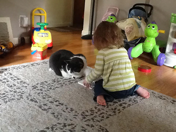 My Wife Told My Daughter That The Kitty Was Hurt (Arthritis) And To Be Careful With Her. Daughter: "Ok I'll Read To Her"