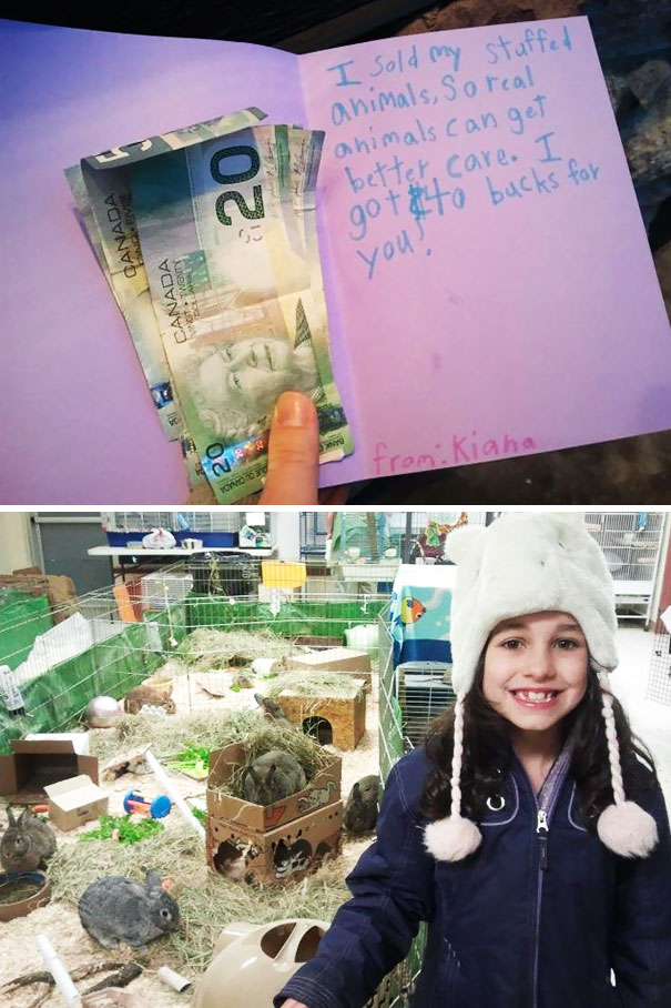 My Daughter Asked Me If She Could Sell Her Stuffed Animals And Donate The Money To Our Local Spca